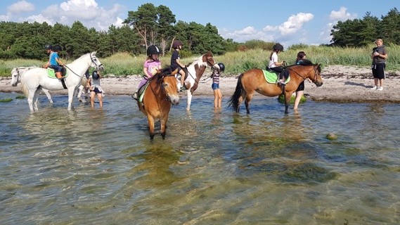 Ridlägerdag Vid Havet