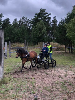 Kicki Kör Tindra